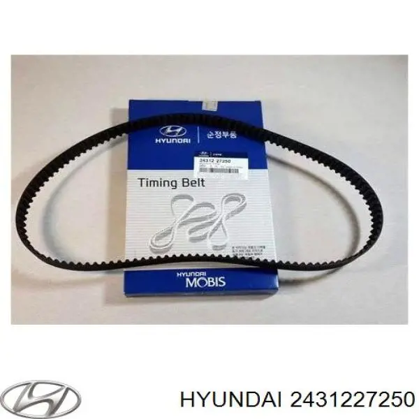 2431227250 Hyundai/Kia correa distribucion