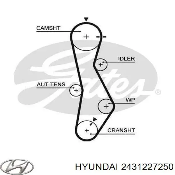 Correa de distribución Hyundai/Kia 2431227250 precio, desde 29,60 EUR