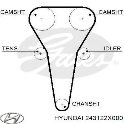 Correa distribución 243122X000 Hyundai/Kia