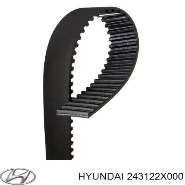 243122X000 Hyundai/Kia correa distribucion