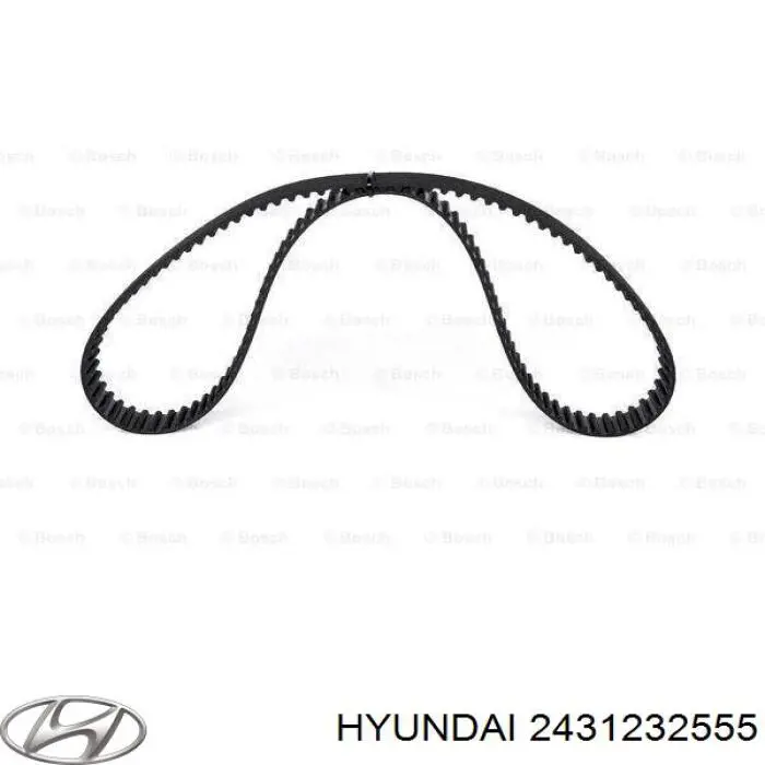 Correa distribución 2431232555 Hyundai/Kia