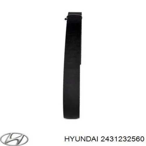 Correa distribución 2431232560 Hyundai/Kia