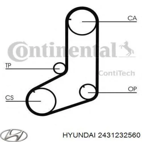 2431232560 Hyundai/Kia correa distribucion