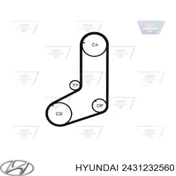 Correa de distribución Hyundai/Kia 2431232560 precio, desde 18,41 EUR