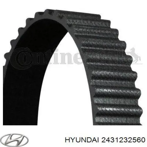 Comprar 2431232560 Hyundai/Kia Correa distribución