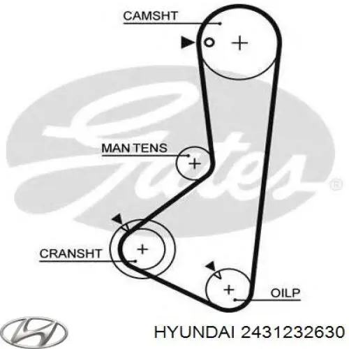 2431232630 Hyundai/Kia