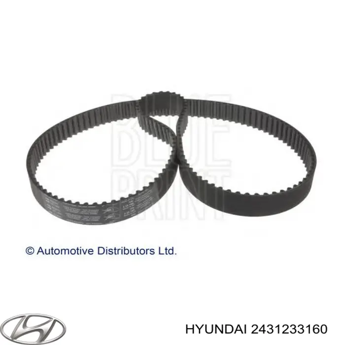 Correa distribución 2431233160 Hyundai/Kia