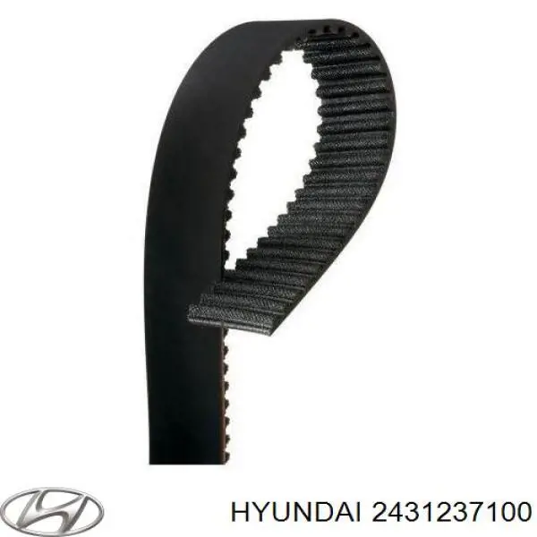 2431237100 Hyundai/Kia correa distribucion