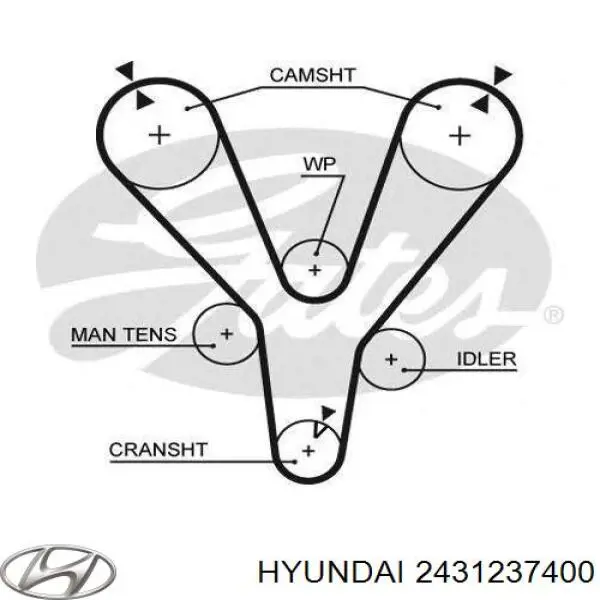 Correa de distribución Hyundai/Kia 2431237400 precio, desde 43,59 EUR