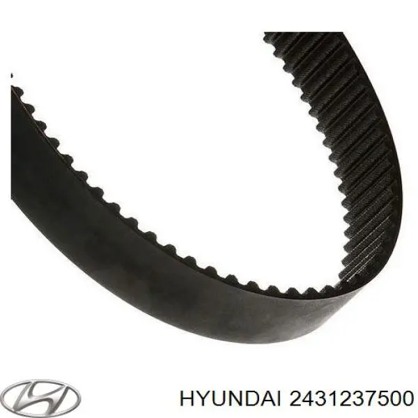 2431237500 Hyundai/Kia correa distribución