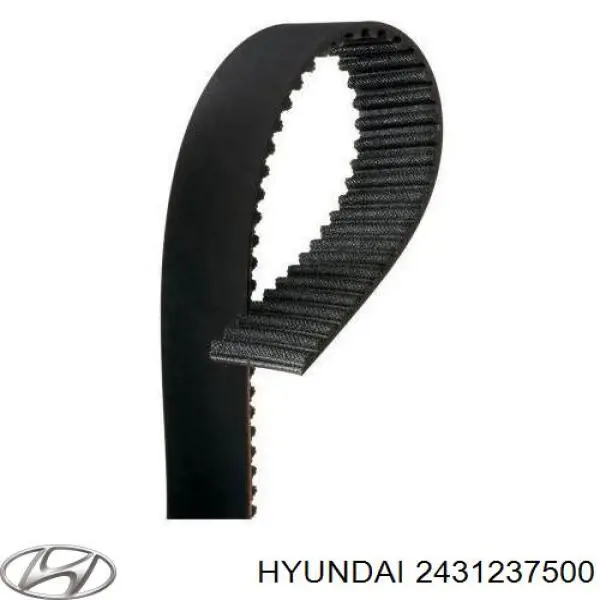 Correa de distribución Hyundai/Kia 2431237500 precio, desde 42,96 EUR
