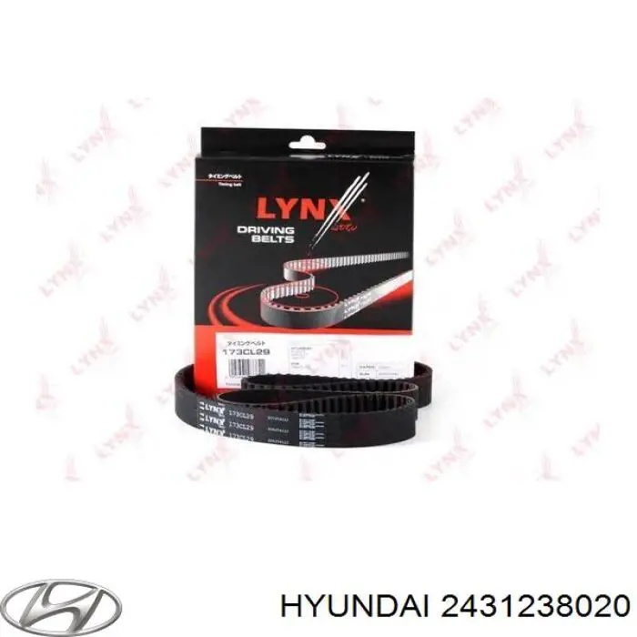 Comprar 2431238020 Hyundai/Kia Correa distribución