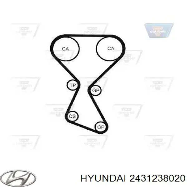 2431238020 Hyundai/Kia correa distribución