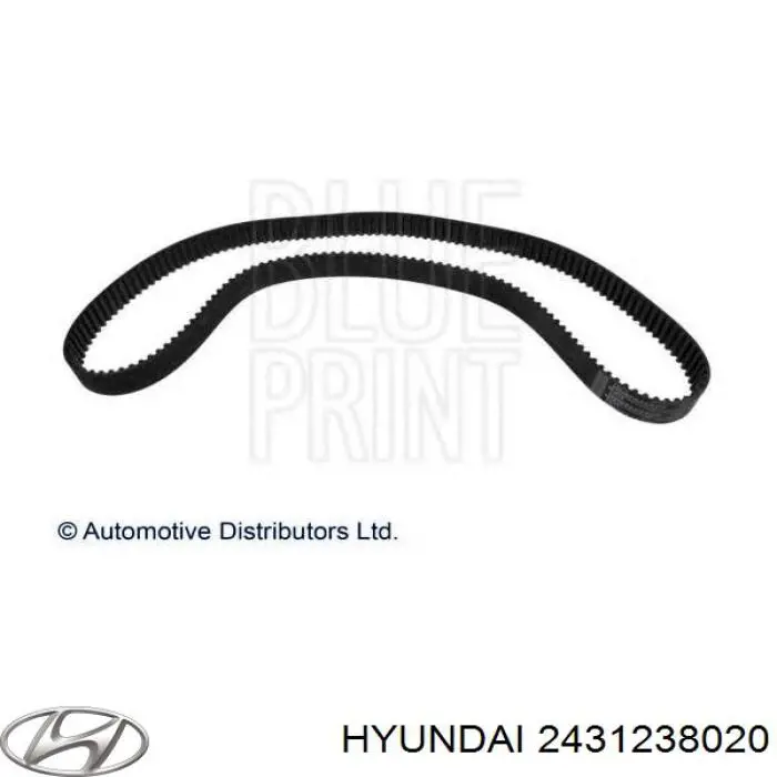 Correa de distribución Hyundai/Kia 2431238020 precio, desde 32,57 EUR