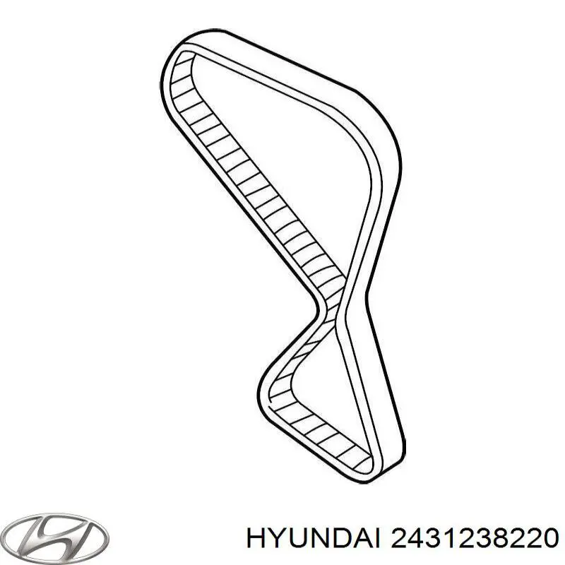 Correa de distribución Hyundai/Kia 2431238220 precio, desde 37,39 EUR