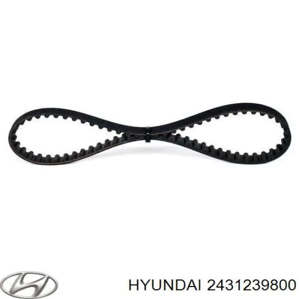Correa de distribución Hyundai/Kia 2431239800 precio, desde 55,61 EUR
