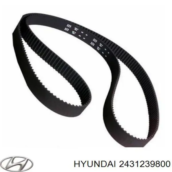 Comprar 2431239800 Hyundai/Kia Correa distribución