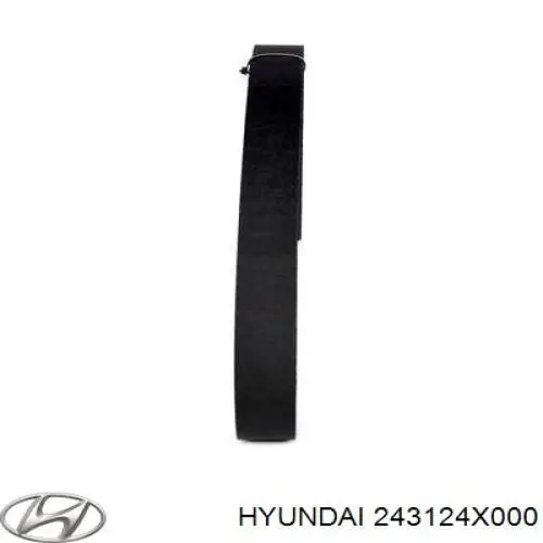 243124X000 Hyundai/Kia Correa dentada