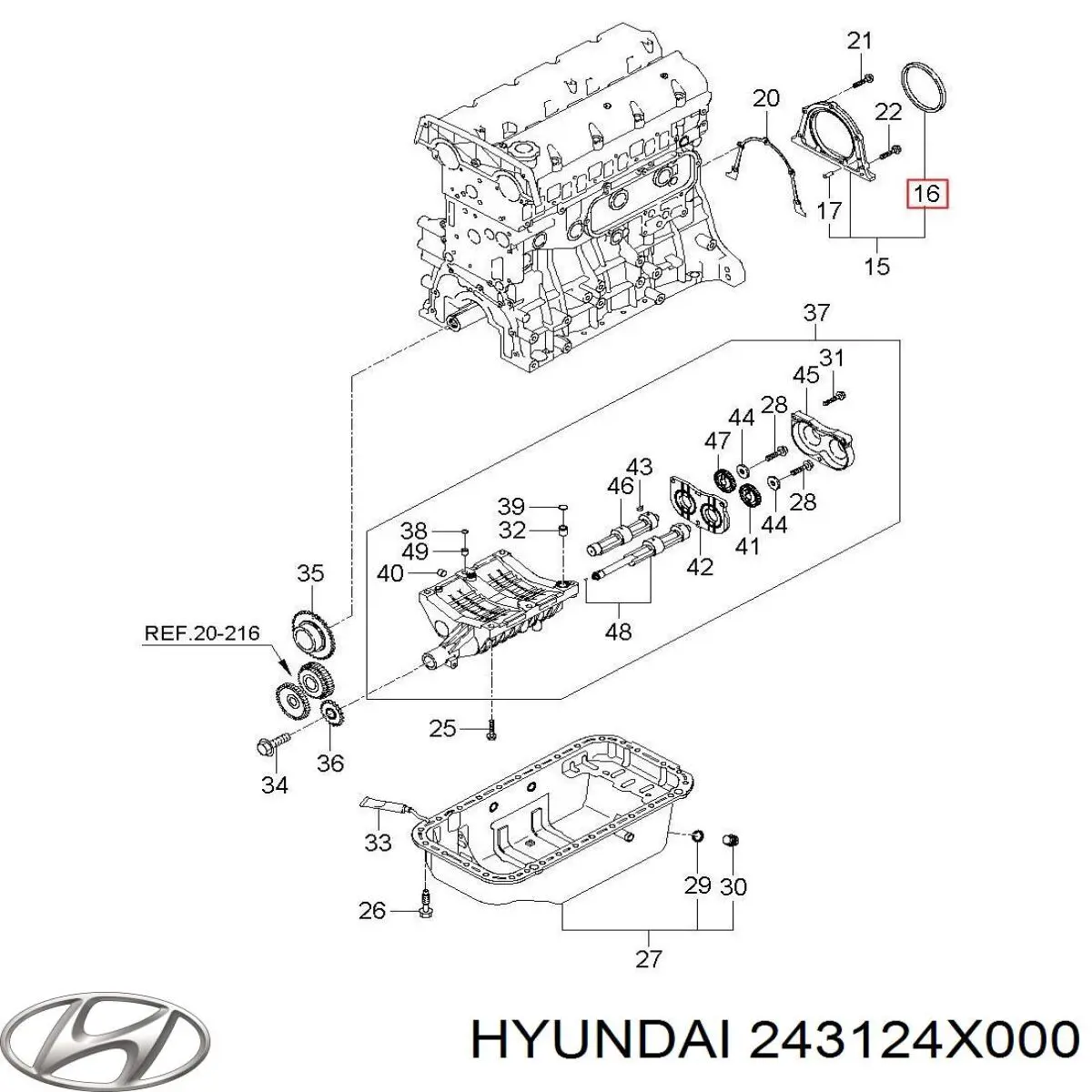 Correa de distribución Hyundai/Kia 243124X000 precio, desde 60,58 EUR