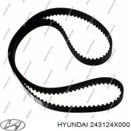 243124X000 Hyundai/Kia correa distribucion