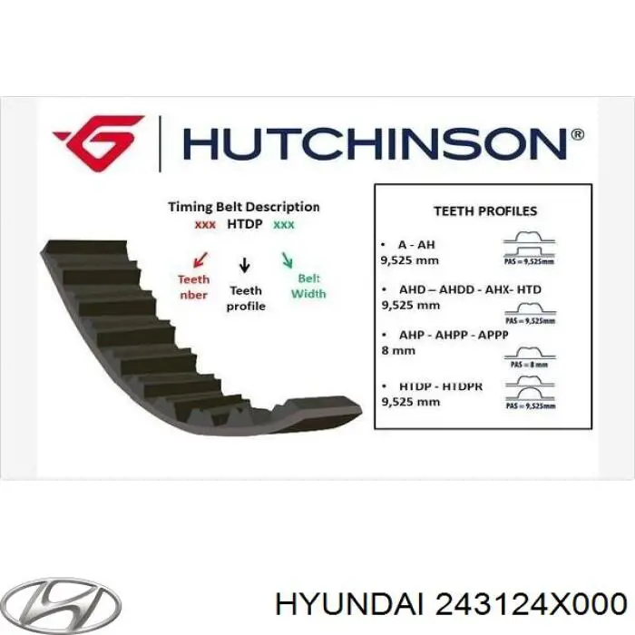 Correa de distribución Hyundai/Kia 243124X000 precio, desde 60,58 EUR