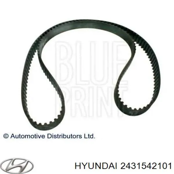 Comprar 2431542101 Hyundai/Kia Correa distribución