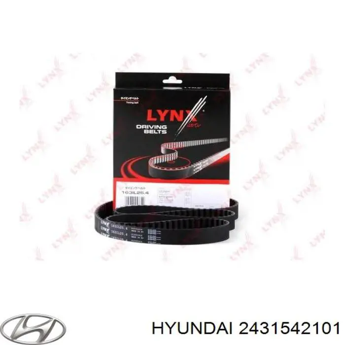 2431542101 Hyundai/Kia Correa dentada