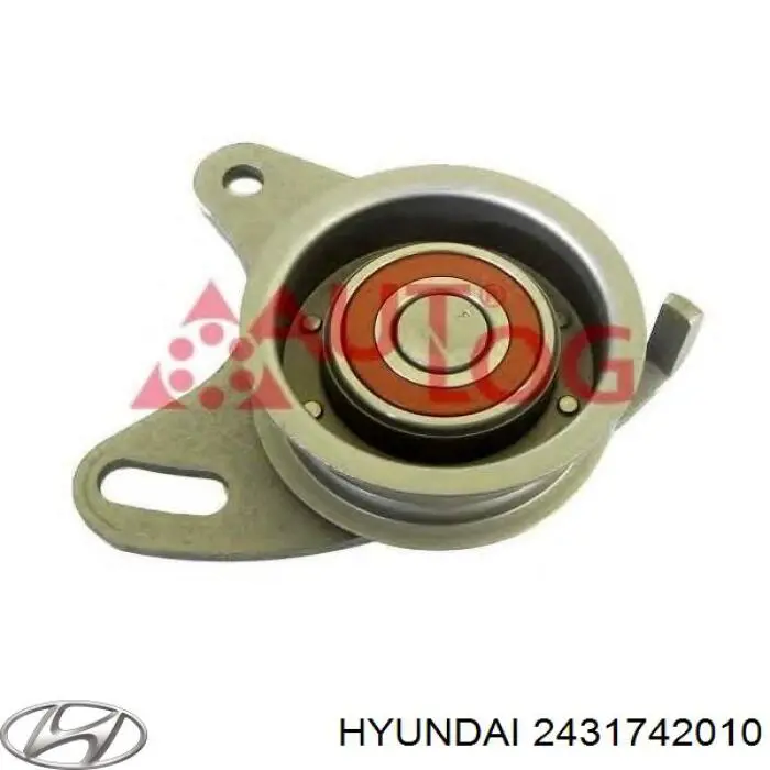 2431742010 Hyundai/Kia rodillo, cadena de distribución
