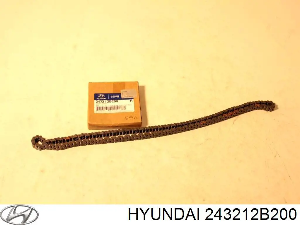 Cadena de distribución Hyundai/Kia 243212B200 precio, desde 50,12 EUR