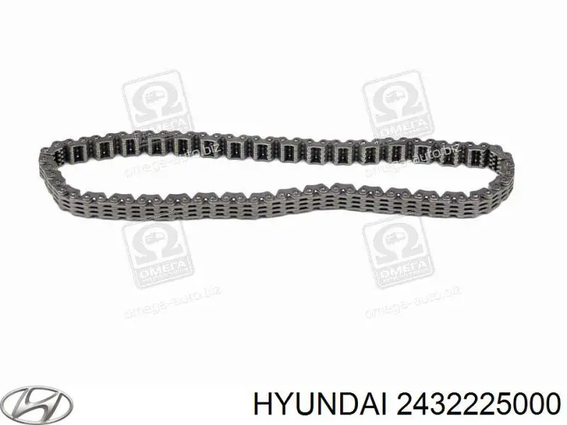 2432225000 Hyundai/Kia cadena, bomba de aceite
