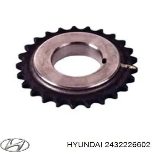 2432226602 Hyundai/Kia piñón cadena distribución