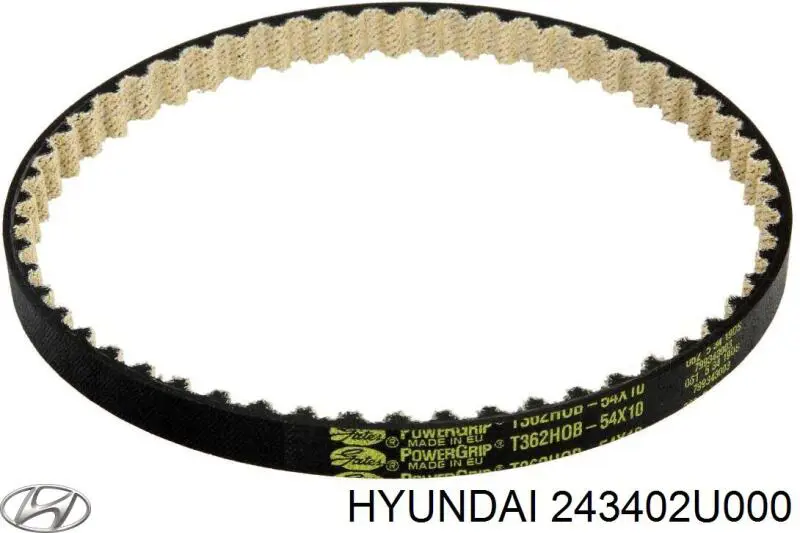 Correa de distribución Hyundai/Kia 243402U000 precio, desde 19,67 EUR