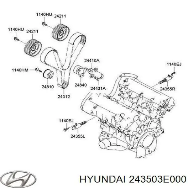 243503E000 Hyundai/Kia rueda dentada, árbol de levas lado de admisión