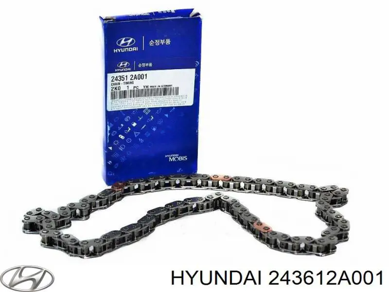 Cadena inferior de distribución Hyundai/Kia 243612A001 precio, desde 35,71 EUR