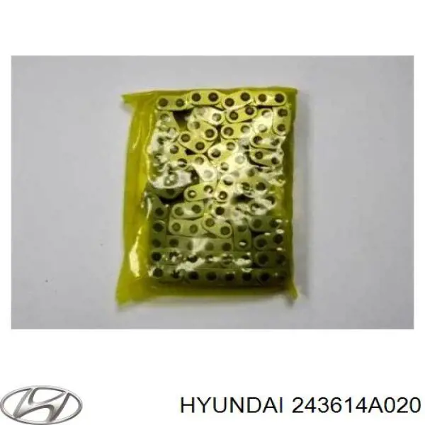 243614A020 Hyundai/Kia cadena, bomba de aceite