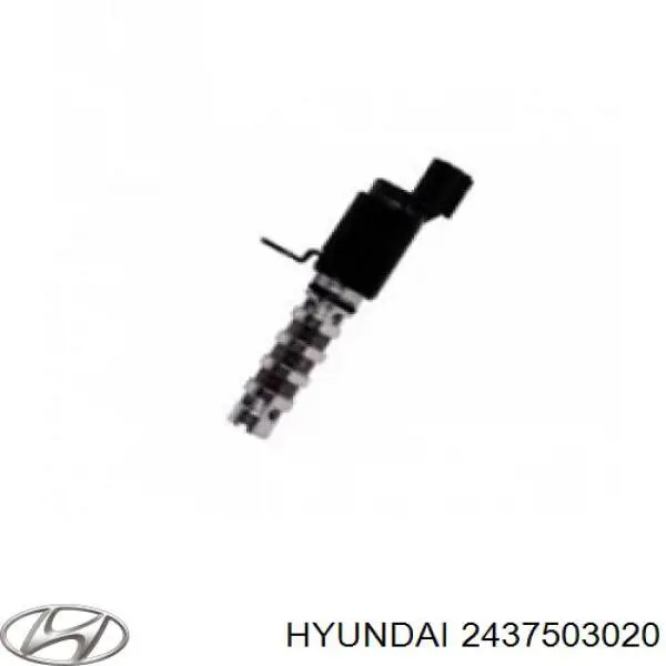 Válvula reguladora de presión de aceite Hyundai/Kia 2437503020 precio, desde 33,86 EUR