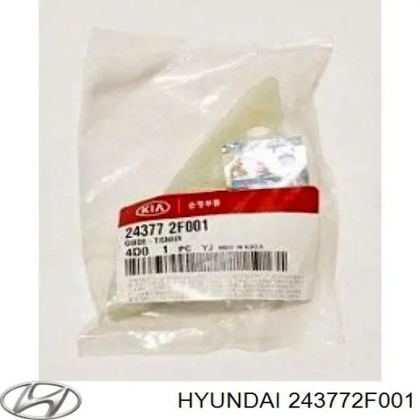 Carril guía, cadena accionamiento bomba de aceite para Hyundai Santa Fe (CM)