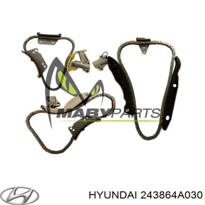 243864A030 Hyundai/Kia carril de deslizamiento, cadena de distribución derecho