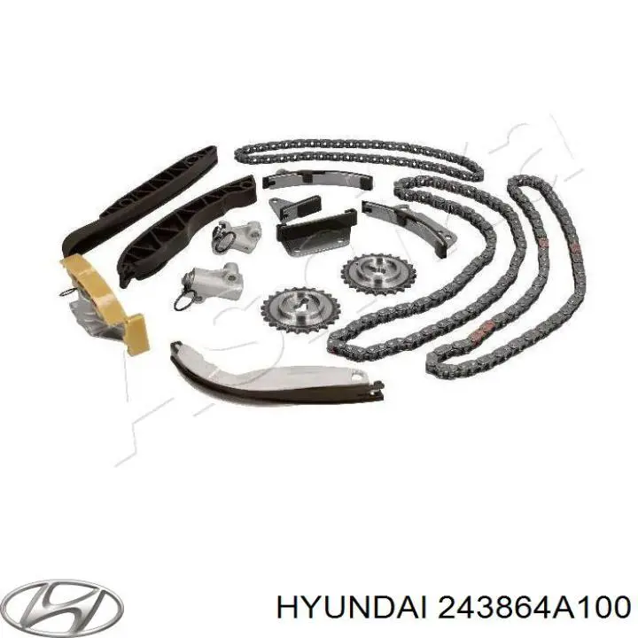 243864A020 Hyundai/Kia carril de deslizamiento, cadena de distribución derecho