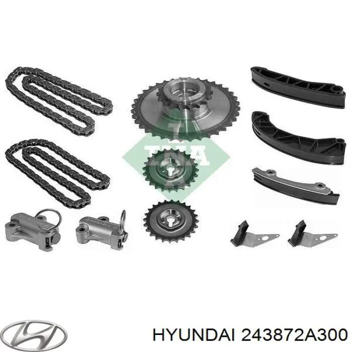 Carril de deslizamiento, cadena de distribución superior para Hyundai I20 (PB)