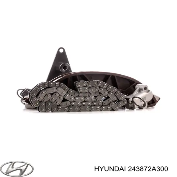 Tensor superior de la cadena de distribución Hyundai/Kia 243872A300 precio, desde 105,56 EUR