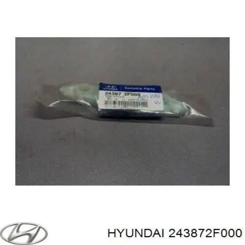 243872F000 Hyundai/Kia carril de deslizamiento, cadena de distribución superior