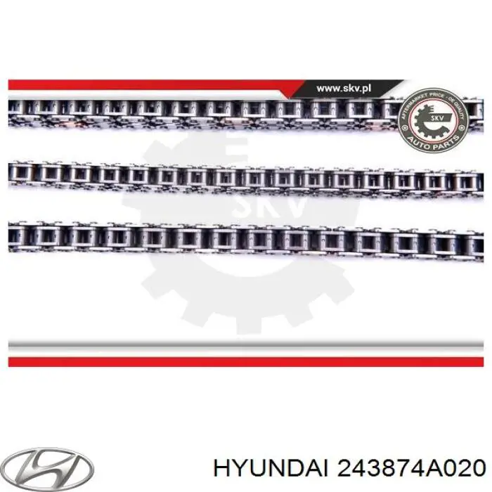 Guía izquierda de cadena de distribución Hyundai/Kia 243874A020 precio, desde 13,39 EUR