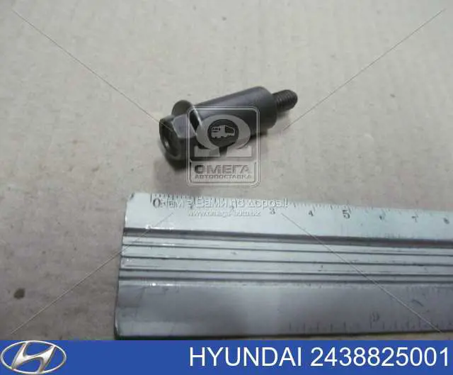 Juego de cadena de bomba de aceite Hyundai/Kia 2438825001 precio, desde 44,40 EUR
