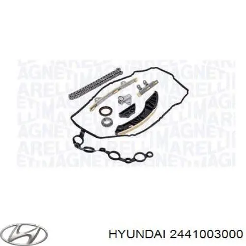 Tensor de cadena de distribución Hyundai/Kia 2441003000 precio, desde 32,89 EUR