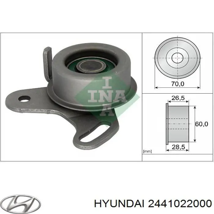 2441022000 Hyundai/Kia rodillo, cadena de distribución
