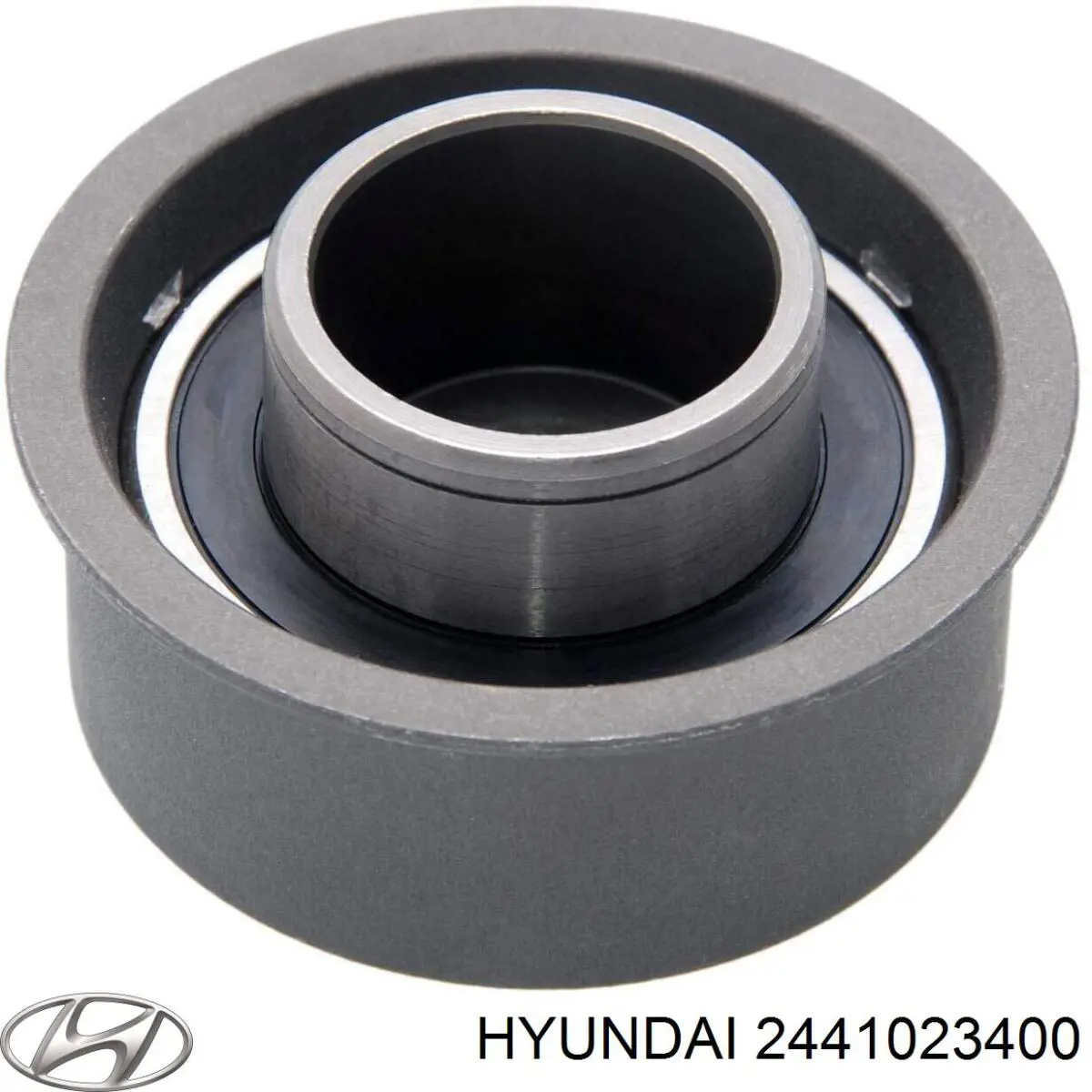 2441023400 Hyundai/Kia rodillo, cadena de distribución