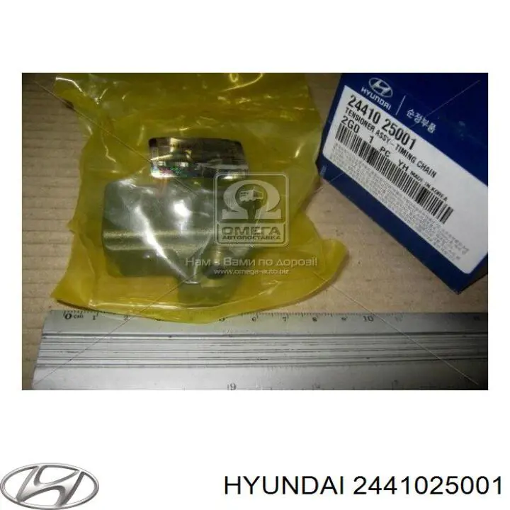 2441025001 Hyundai/Kia Tensor de cadena de distribución