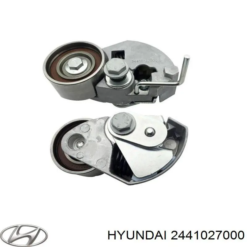 Tensor de la correa de distribución Hyundai/Kia 2441027000