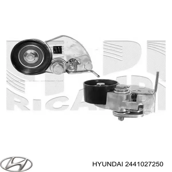 Tensor de la correa de distribución Hyundai/Kia 2441027250